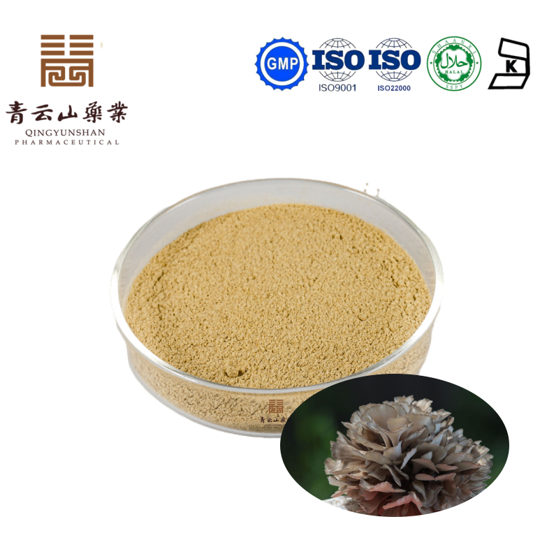 Maitake Mushroom Extract Guangdong Qingyunshan Pharmaceutical Co